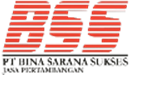 BSS